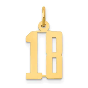 14K Yellow Gold Polished Finish Small Size Elongated Shape Number 18 Charm Pendant