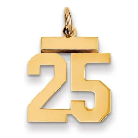 14k Yellow Gold Polished Finish Small Size Number 25 Charm Pendant