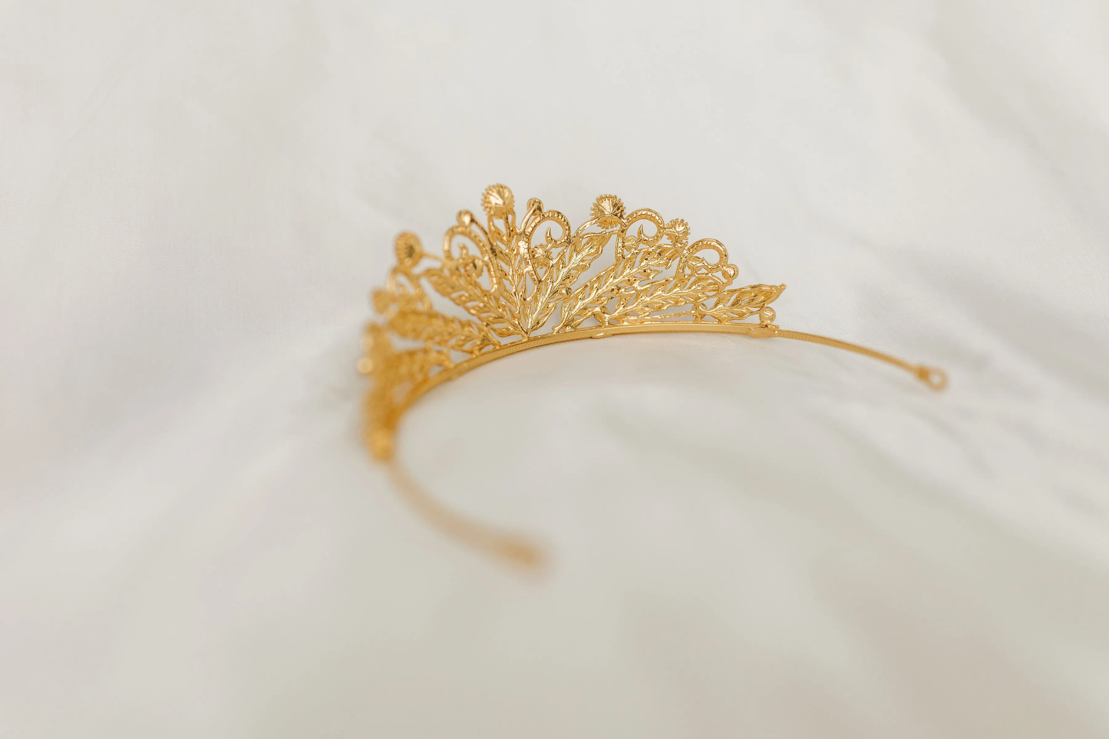Kennedy's Tiara in Gold
