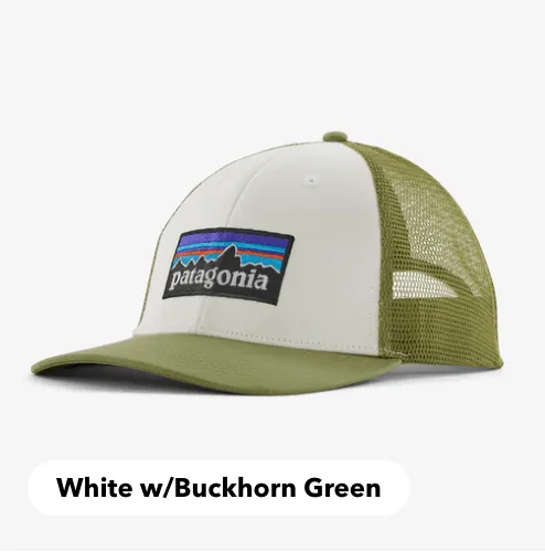 Patagonia P-6 Logo LoPro Trucker Hat