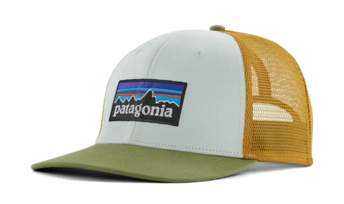 Patagonia P-6 Logo LoPro Trucker Hat
