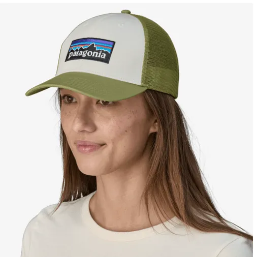 Patagonia P-6 Logo LoPro Trucker Hat