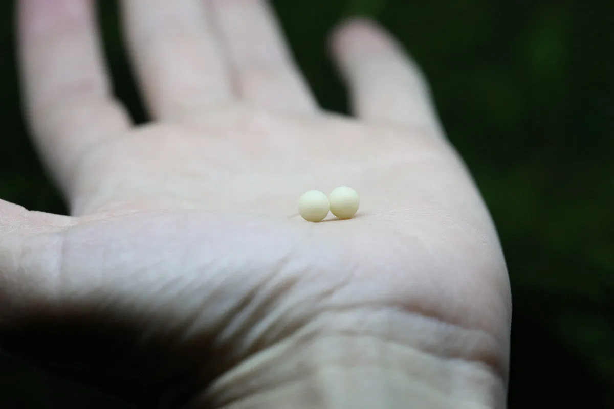 Tiny 6mm Pearl Earrings